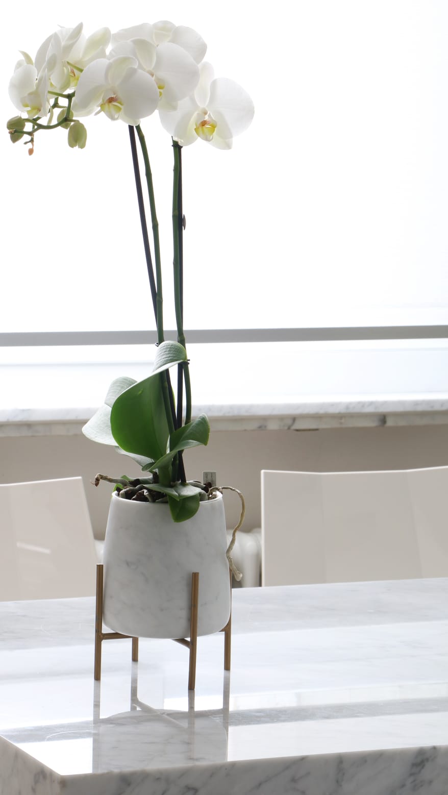 Vaso Orchidea in Marmo Bianco Carrara