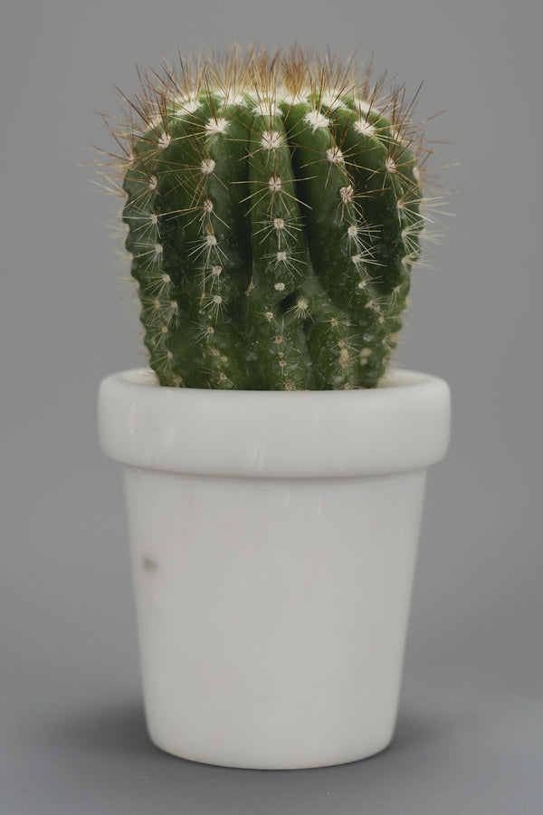 Vaso "Cactus" in Marmo Statuario