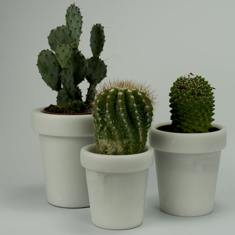 Vaso "Cactus" in Marmo Statuario